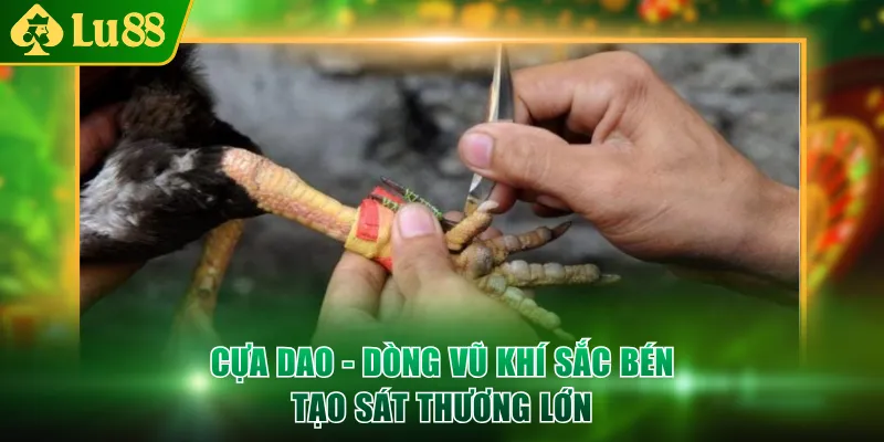 Cựa dao - Dòng vũ khí sắc bén tạo sát thương lớn