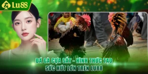 Đá gà cựa sắt