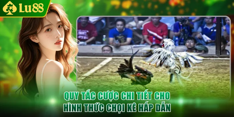 Quy tắc cược chi tiết cho hình thức chọi kê hấp dẫn